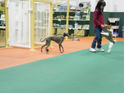 ２０　２　２　Ａ