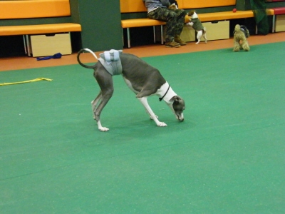 ２０　２　２　Ｇ