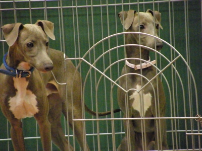 ２０　２　２　Ｅ