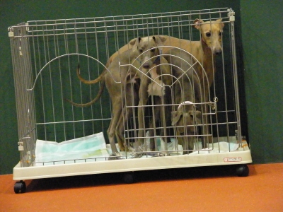 ２０　２　２　Ｆ