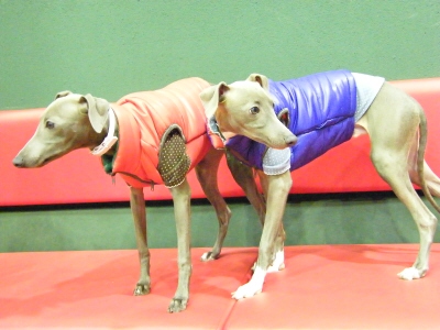 ２０　２　２　Ｈ