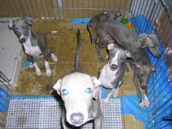 １２月４日　２