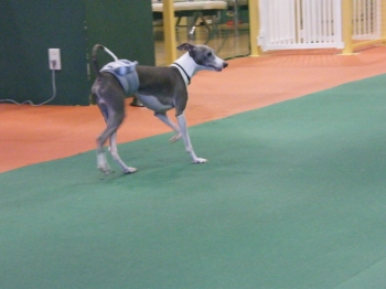 20 1 11 アンリー