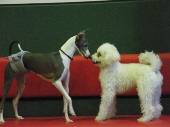 20 1 11 アンリー　Ｂ