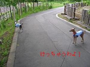 N0952  1.jpg