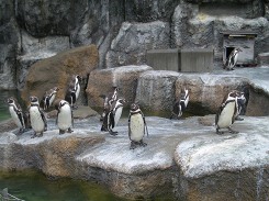 浜松市動物園