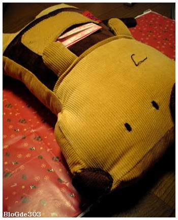 旅立ちを前に不安そうなショコタ。