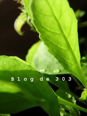 ショコタ、食べるなよ！