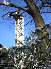 高城神社初詣・おみくじ.JPG