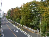 万平公園紅葉・３.JPG
