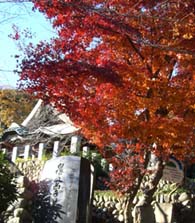 龍泉寺の紅葉・２.JPG