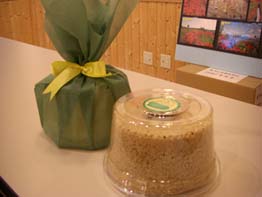 見栄子展示会080126　モモちゃんより