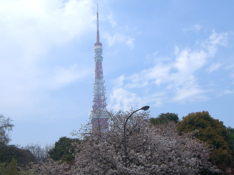 東京タワーと桜.JPG
