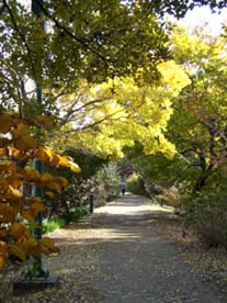 別府沼公園紅葉・２.JPG