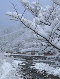 水上の雪景色・３.JPG