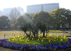 日比谷公園２.JPG