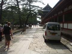 todaiji_03.jpg