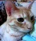 060218_203126.jpg