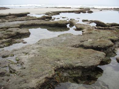 tide pools1