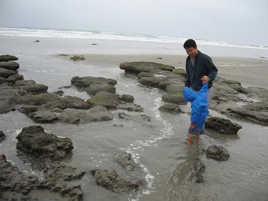 tide pools2