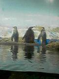 060304_1527~001.jpg