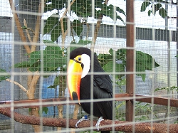 掛川花鳥園