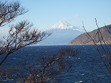 富士山・西伊豆
