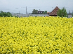 フィオーレ小渕沢