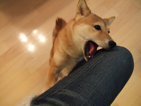 私の足に・・・