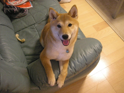 嬉しいのかい？