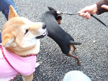 また殴ったわね