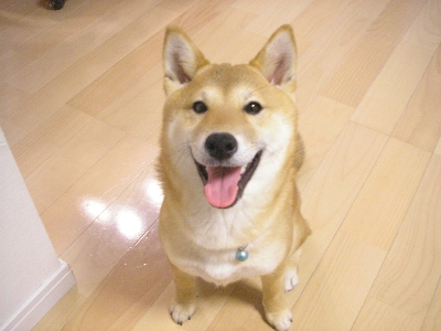 いい表情だね！