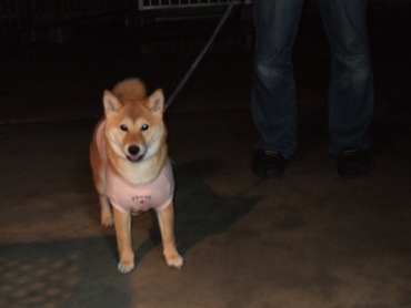 夜のベランダで