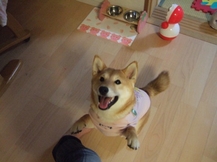 ジャンプの瞬間