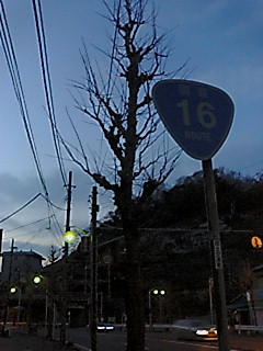 20070104063424田浦の道.txt