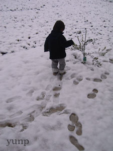 初めて雪の上を歩く。