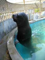 水族館Ｅ・オタリア