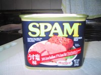 SPAM全体