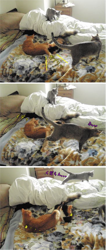 4nyan2.jpg