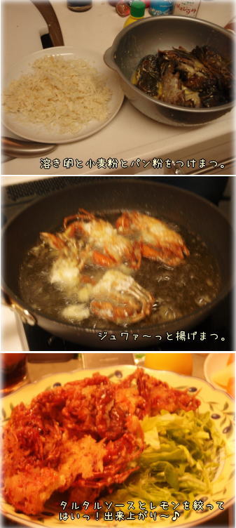 softshellcrab2.jpg