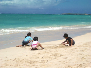 我が家の恐竜３匹