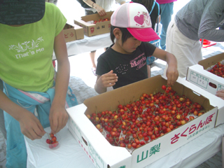 090607さくらんぼ祭り