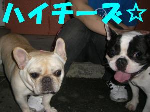 mash2 081あ.JPG