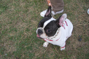 朱雀オフ会 026.jpg