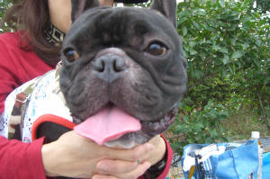 朱雀オフ会 003.jpg