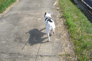 オフ会　2006.10.15 2 080.jpg