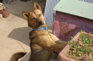 オフ会　2006.10.15 2 082.jpg