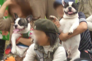 朱雀オフ会 057.jpg