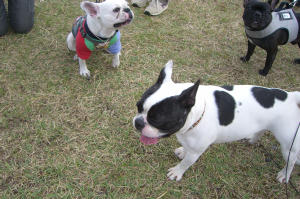 朱雀オフ会 019.jpg