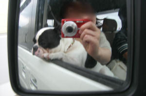 朱雀オフ会 037a.jpg